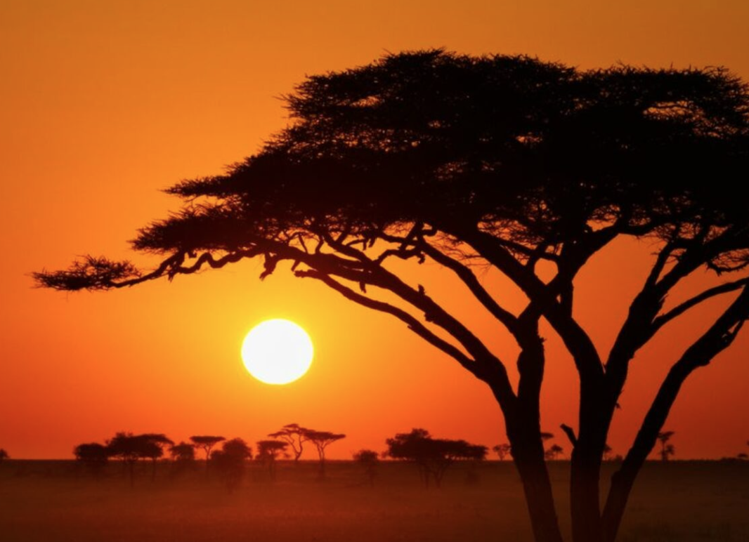 AFRIQUE